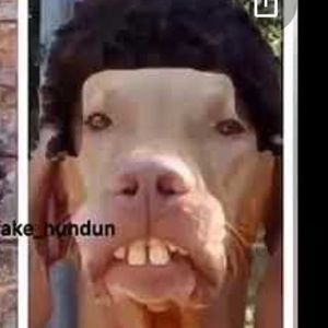 Meet your Posher, Luis